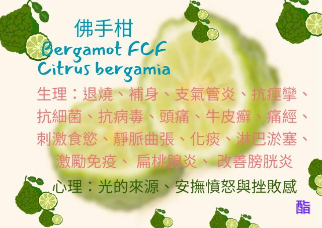 《探索芳香照護溫暖魔法》講座